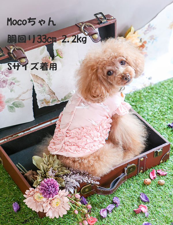 中綿リボンいっぱいジャケット KALINA カリーナ 犬の服 犬服 ドッグウェア DOGWEAR ワンピース アウター - ワンコ服KALINA 【  kalina_wans_gogoh 】